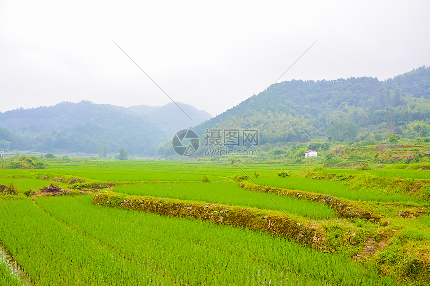 江西瑶里古镇风光图片