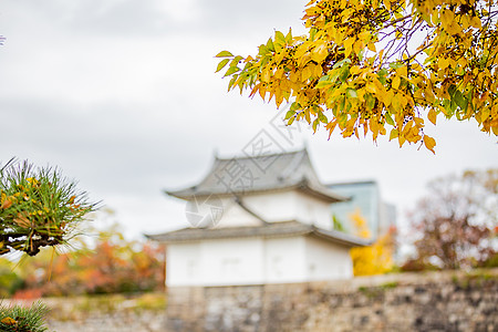 日本大阪城日本建筑高清图片