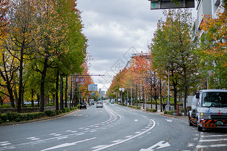 街道秋色日本秋景背景