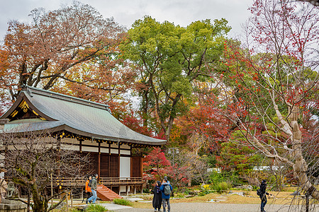 日本京都天龙寺秋景图片