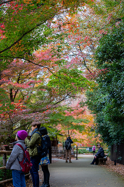 日本御土居秋景图片