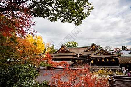 日本枫叶日本京都天龙寺风景背景