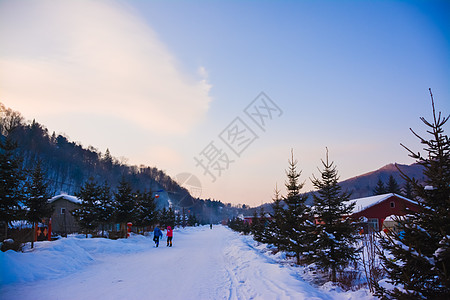 东升林场黑龙江东升中国雪谷背景