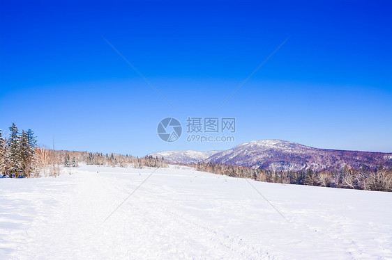 黑龙江雪乡洋草山图片