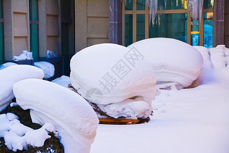 黑龙江雪乡雪蘑菇图片