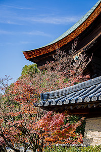 日本京都天龙寺风景图片