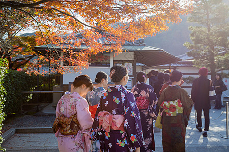 天龙寺赏秋和服日本秋高清图片
