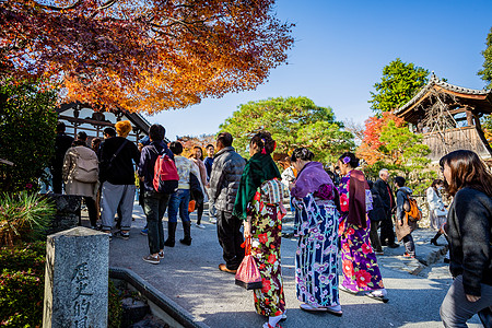 查龙寺日本天龙寺赏秋背景