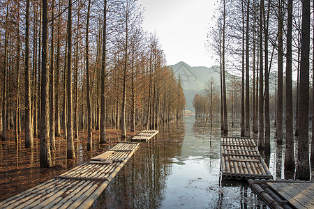 皖南秋色安徽青龙湖秋色背景