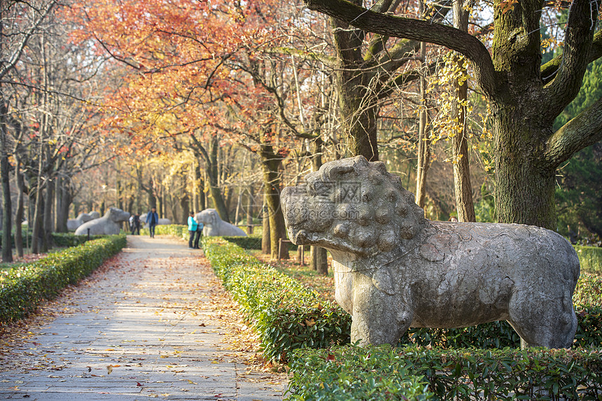 南京明孝陵神道秋色图片