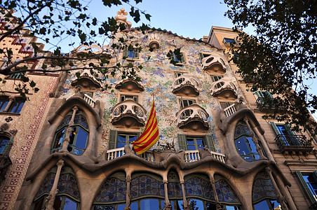 龙鳞纹巴特罗之家 Casa Batllo背景