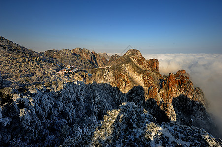 黄山毛尖黄山日出背景