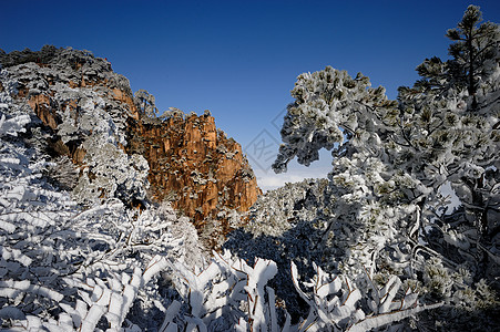 黄山雪景图片