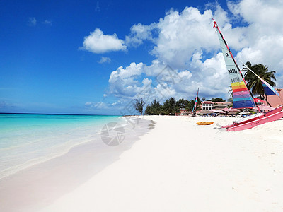 椰风海韵巴巴多斯美丽迷人的白沙滩背景