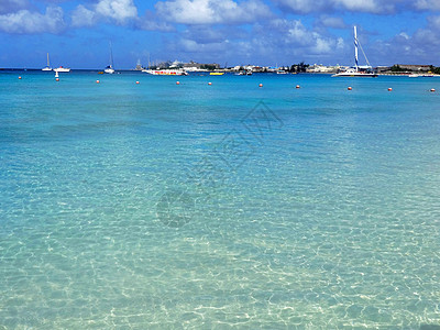 巴巴多斯晶莹剔透的海水背景图片