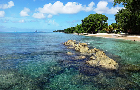 巴巴多斯美丽的海与沙滩风光奇秀海景迷人是驰名世界的海岛度假胜地图片
