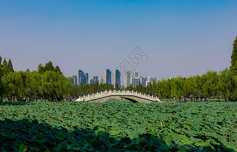 武汉东湖风景区武汉东湖背景