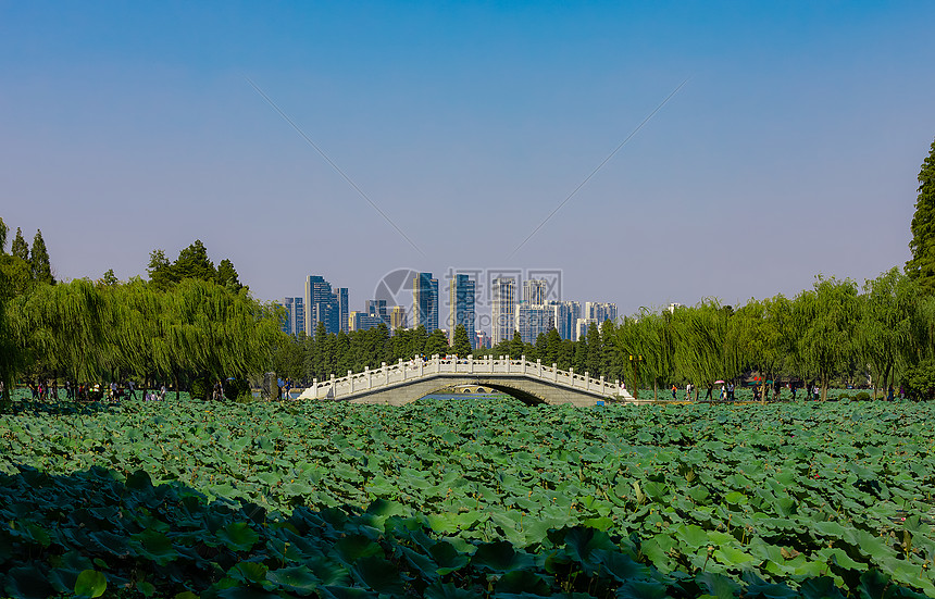 武汉东湖图片