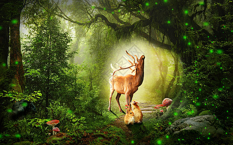 森林和鹿梦幻森林设计图片