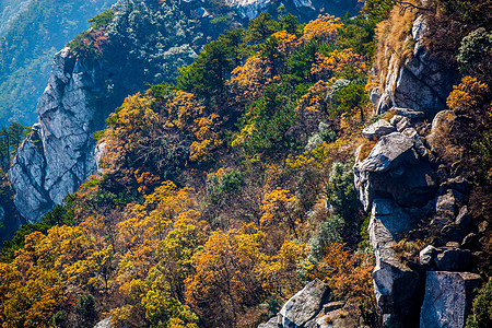 九江庐山江西九江秋季庐山背景