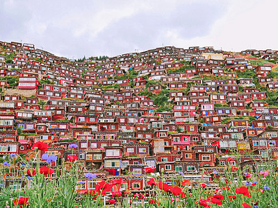 色达喇荣五明佛学院的绛色房屋群高清图片