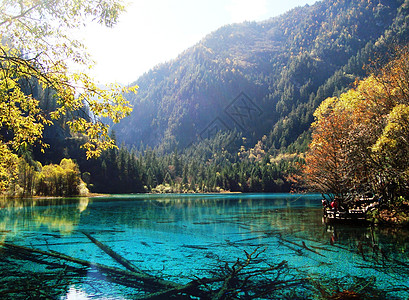 天堂美川西风光美哉九寨沟背景