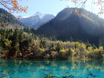 天堂美川西风光美哉九寨沟背景