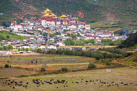 藏传寺庙云南迪庆香格里拉松赞林寺背景