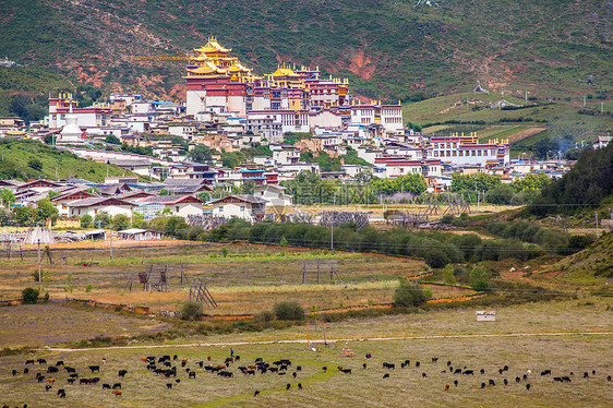 云南迪庆香格里拉松赞林寺图片