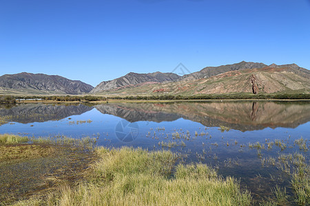甘南桑科湿地背景图片