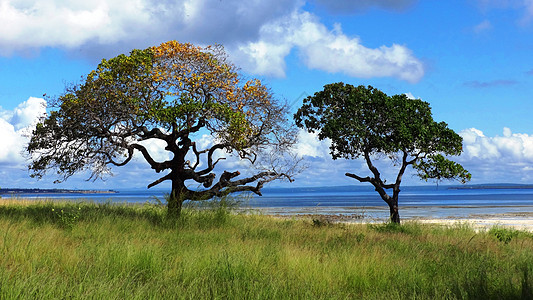 莫桑比克海峡风光背景