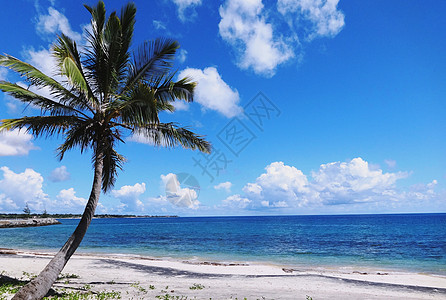 海滩美景莫桑比克海峡风光蓝天白云椰树海风背景