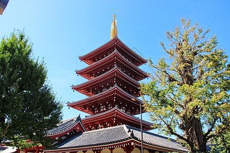 地标浅草寺日本东京浅草寺背景