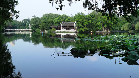 安徽城市安徽合肥休闲游玩景点包河公园清凉之夏背景