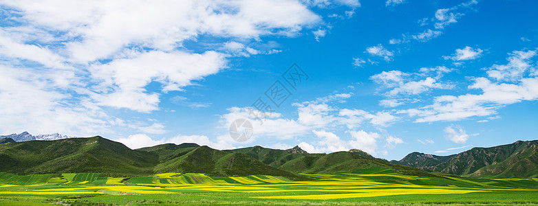 青海寺庙祁连山脉油菜花田背景