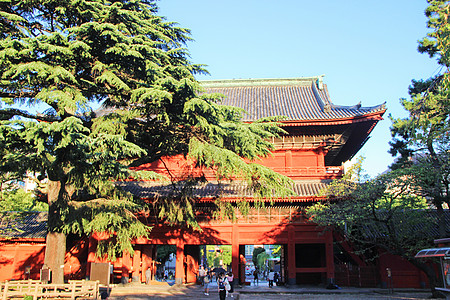 日本东京增上寺图片