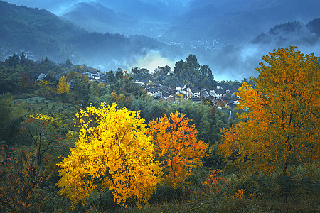 安徽村秋染乡村背景