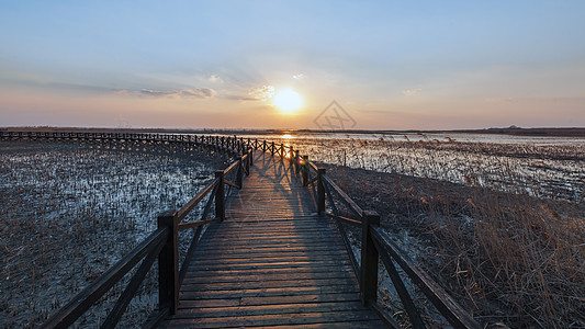 上海崇明西沙湿地公园图片