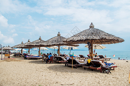 海滩椰子树越南芽庄海滩风景背景