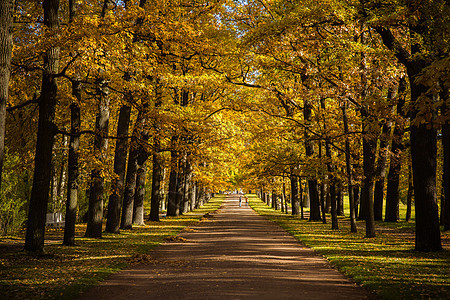俄罗斯最美的园林秋色花园高清图片素材