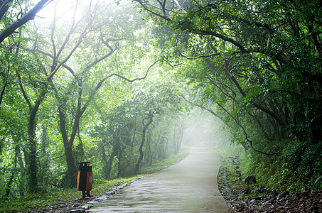 大雨后雨后的大蜀山背景