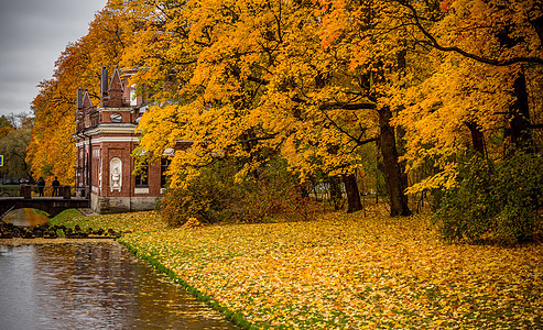 俄罗斯秋季最美的皇家园林叶卡捷琳娜宫花园秋色秋景高清图片素材