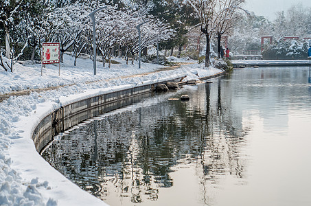 大雪后的天鹅湖公园图片