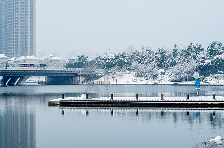 冬至雪景大雪后的合肥天鹅湖公园背景