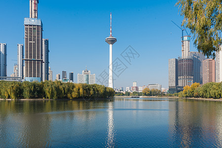 公園沈阳城市风光青年公园背景