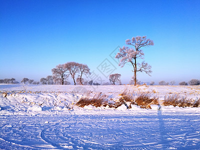 雪镇吉林雾凇岛冰雪天地宛如仙境背景