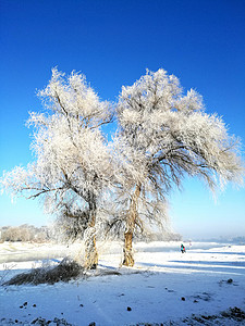 吉林雾凇岛冰雪天地背景图片