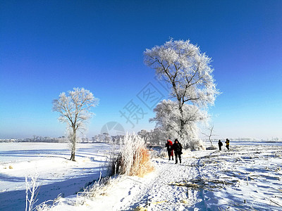 吉林雾凇岛冰雪天地宛如仙境图片