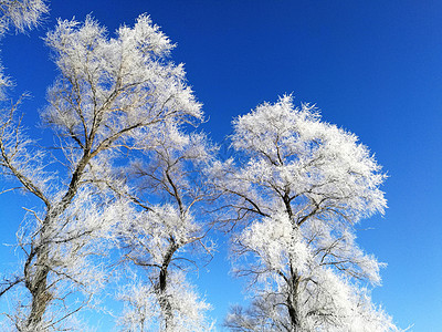 雪镇吉林雾凇岛银妆素裹背景