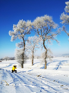 吉林雾凇岛跪在美丽的冰雪天地高清图片